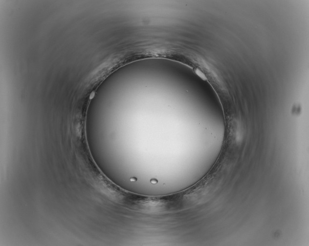 X0000090780313200707201529