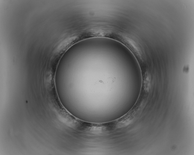 X0000090780314200707201529