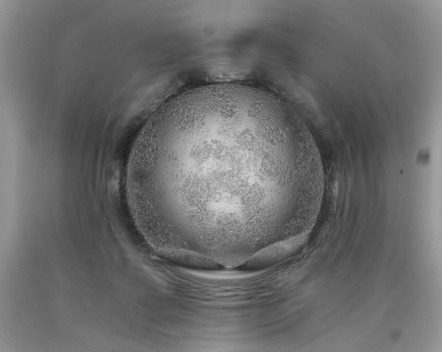 X0000090780315200707201529