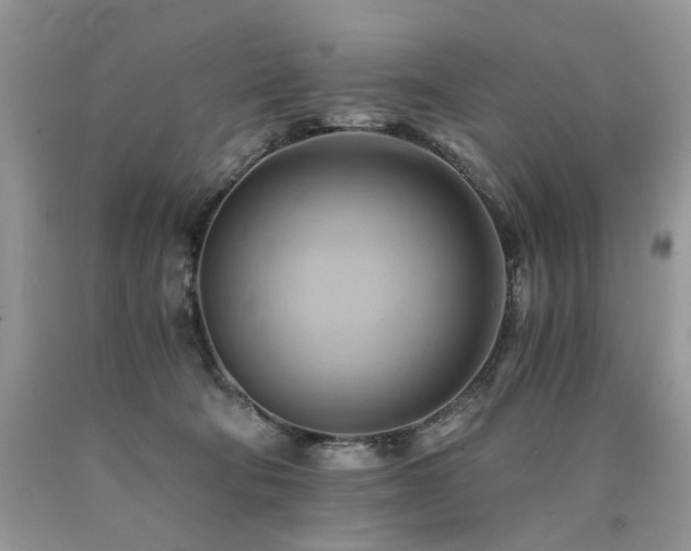 X0000090780322200707201529