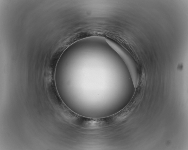 X0000090780323200707201529