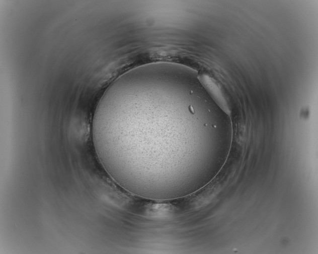 X0000090780324200707201529