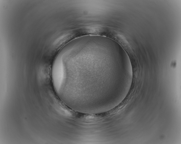 X0000090780325200707201529