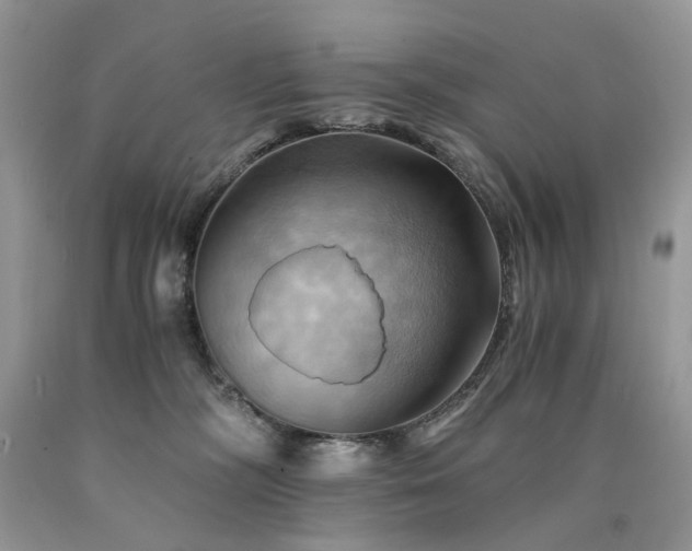 X0000090780326200707201529