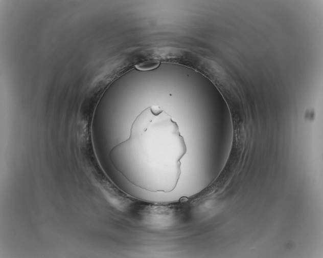 X0000090780327200707201529
