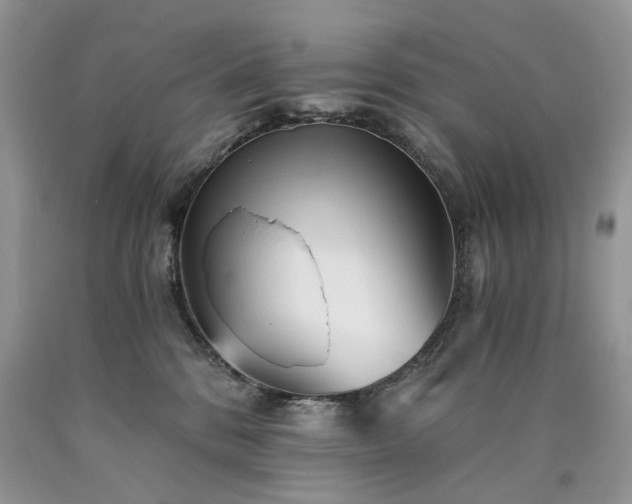 X0000090780328200707201529