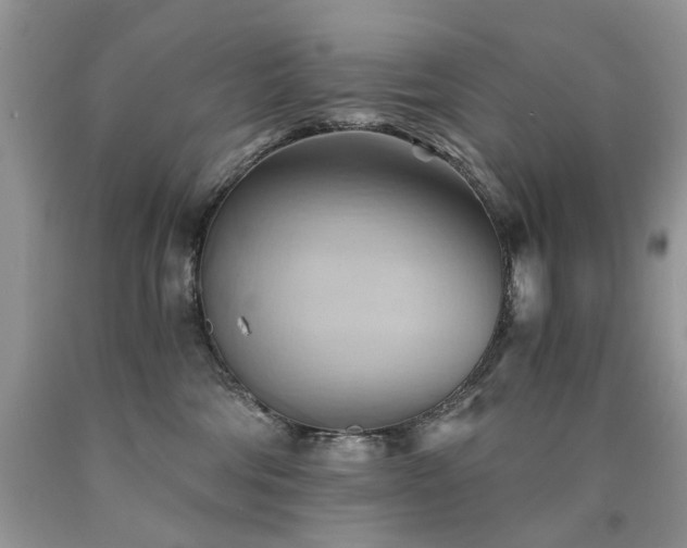 X0000090780330200707201529