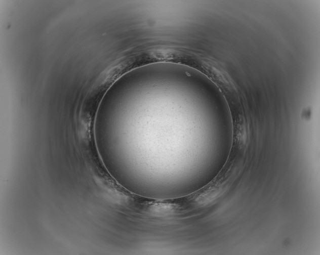 X0000090780332200707201529