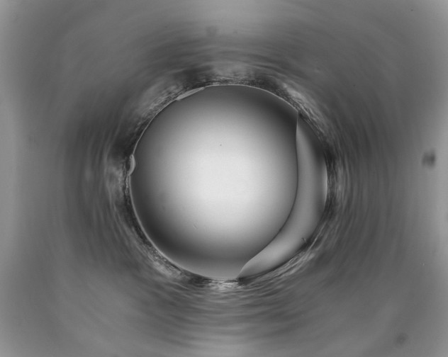 X0000090780333200707201529