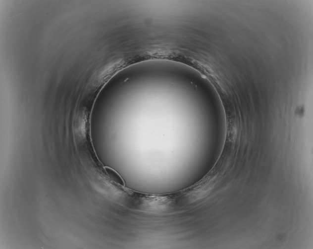 X0000090780334200707201529