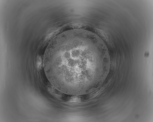 X0000090780335200707201529