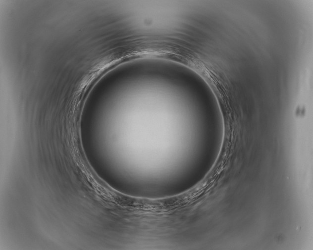 X0000090780337200707201528