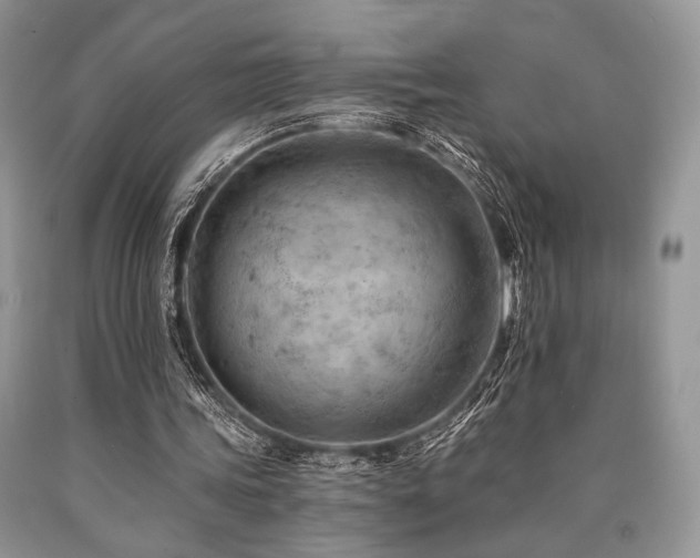 X0000090780339200707201528