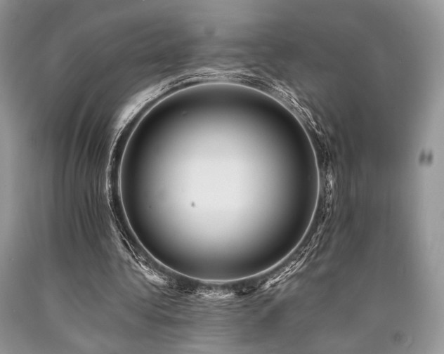 X0000090780340200707201528