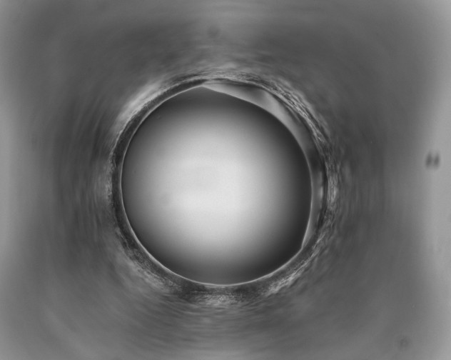 X0000090780344200707201528