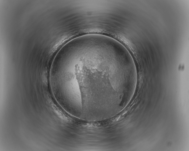 X0000090780345200707201528