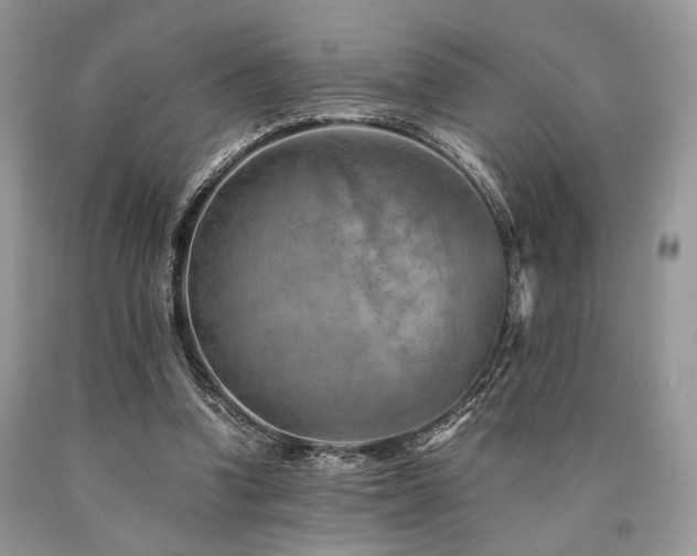 X0000090780346200707201528