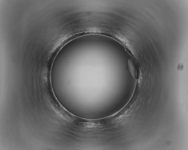 X0000090780347200707201528