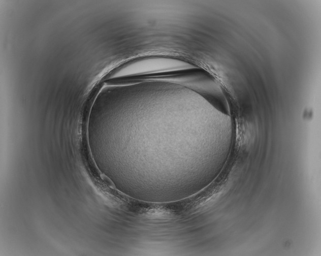 X0000090780348200707201528