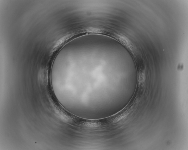 X0000090780349200707201528