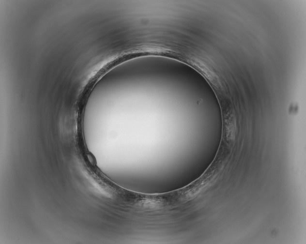 X0000090780350200707201528