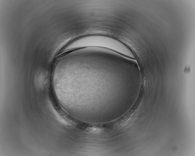 X0000090780352200707201528