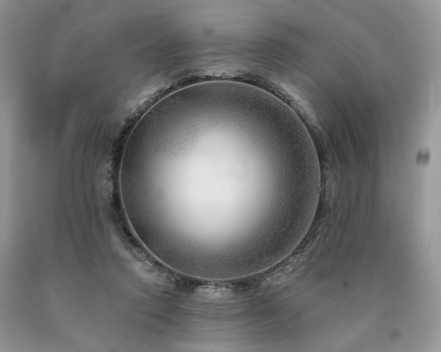 X0000090780354200707201528