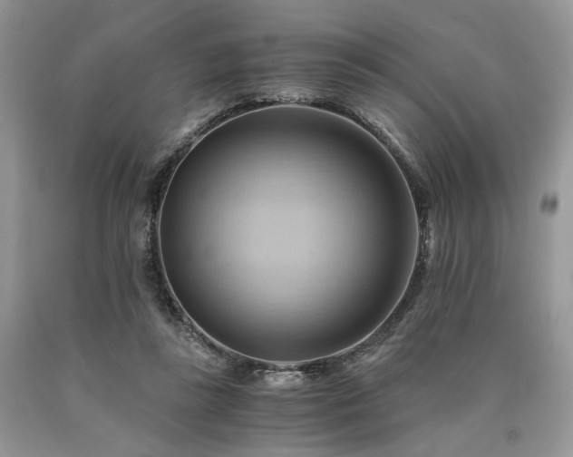 X0000090780355200707201528