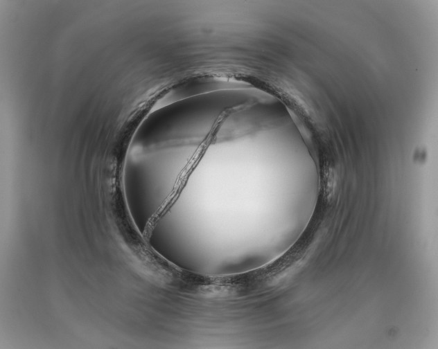 X0000090780356200707201528