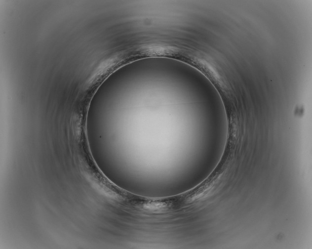 X0000090780357200707201528