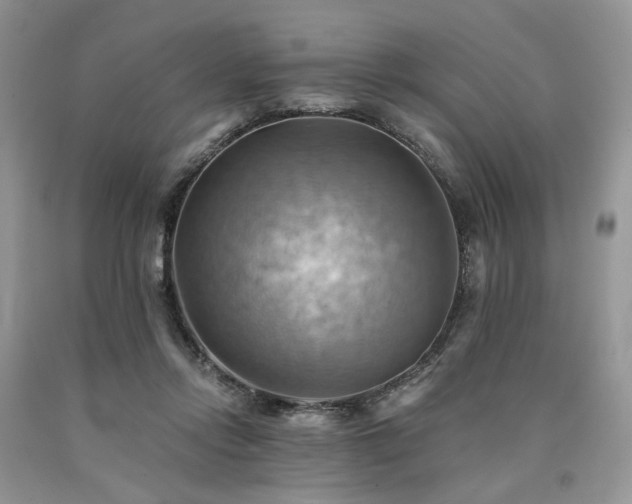 X0000090780358200707201528