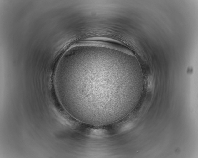 X0000090780360200707201528