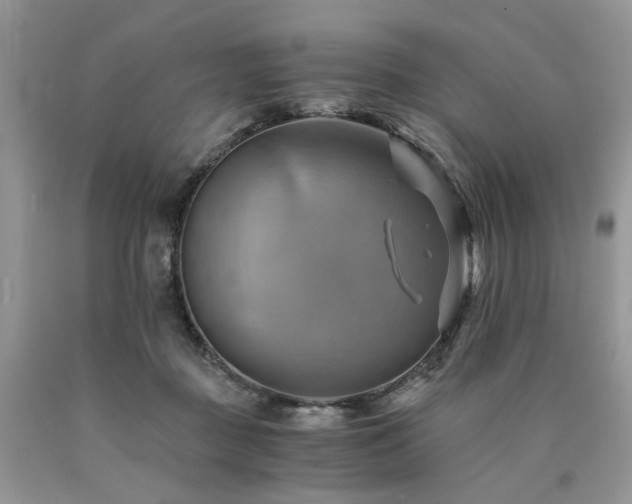 X0000090780363200707201528