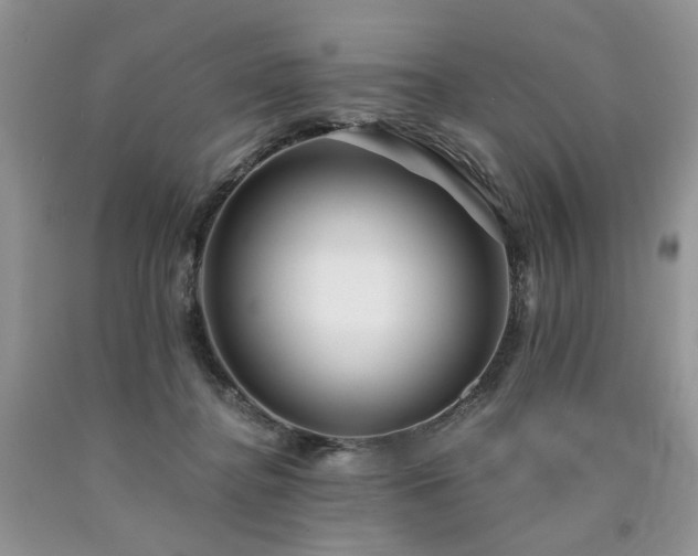 X0000090780364200707201528