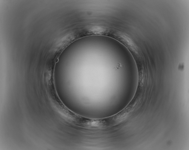 X0000090780365200707201528