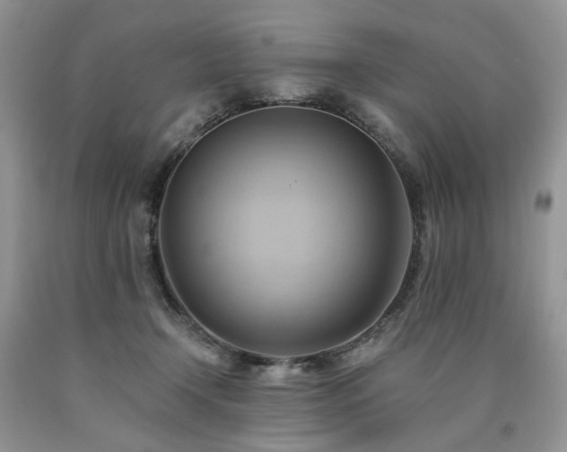 X0000090780366200707201528