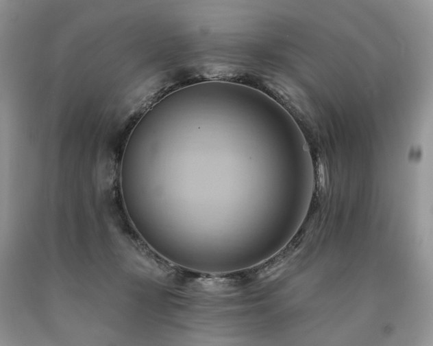 X0000090780367200707201528