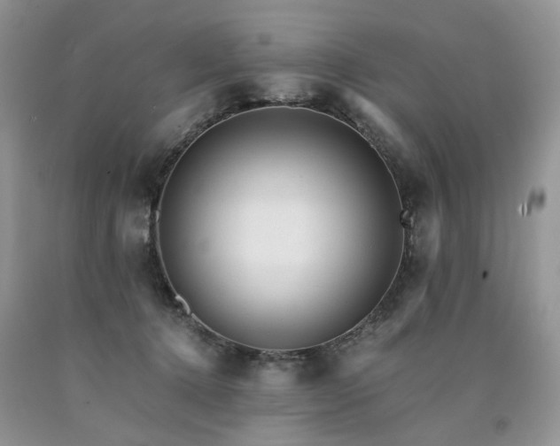 X0000090780368200707201528