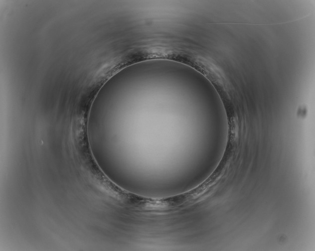 X0000090780369200707201528