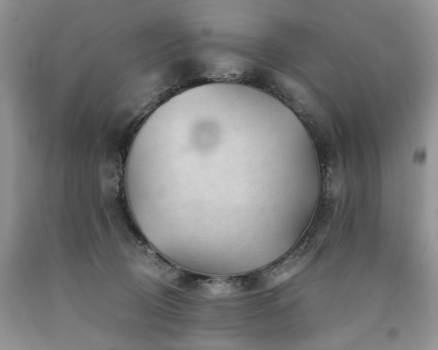 X0000090780370200707201528