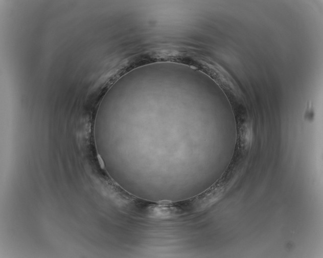 X0000090780372200707201528