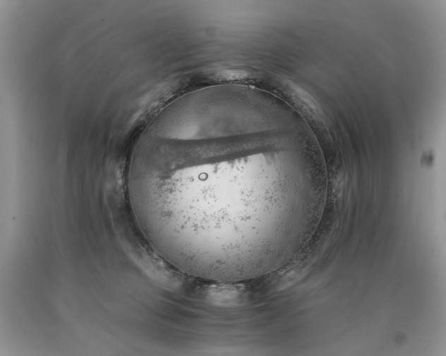 X0000090780373200707201528