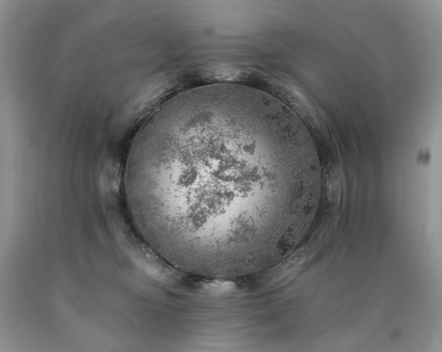 X0000090780374200707201528