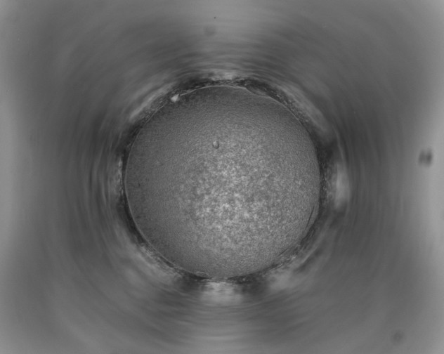 X0000090780376200707201528