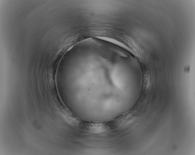 X0000090780377200707201528