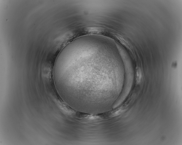 X0000090780379200707201528