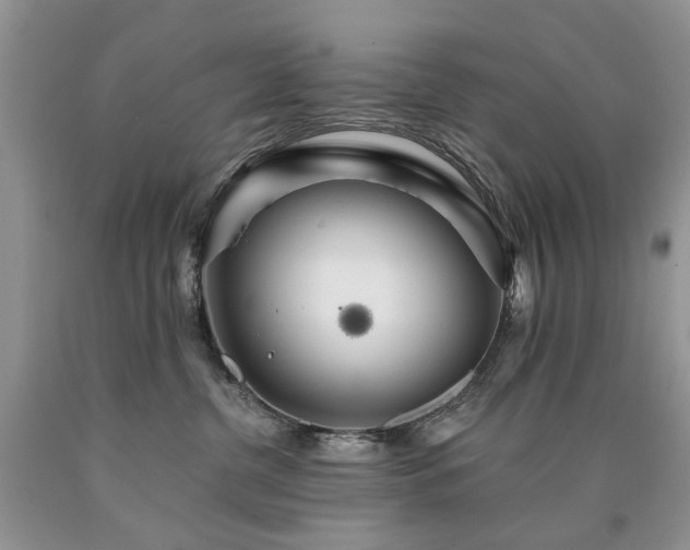 X0000090780380200707201528