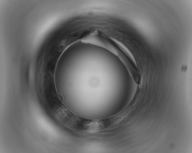 X0000090780383200707201528