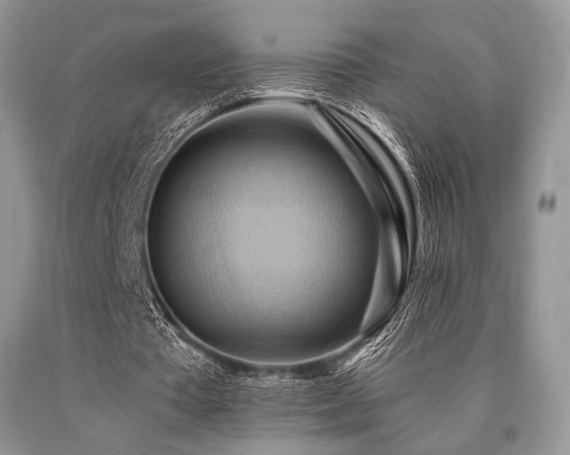 X0000090780385200707201528