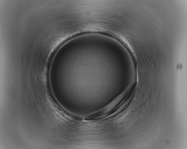 X0000090780387200707201528
